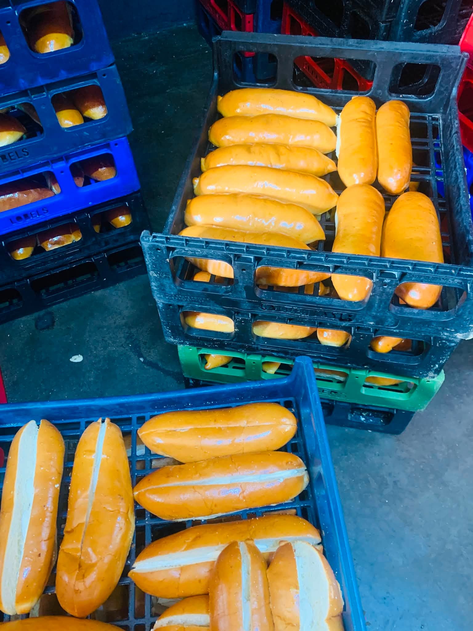 Golden Tasty wholesale trays
